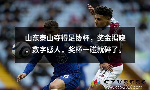 山东泰山夺得足协杯，奖金揭晓，数字感人，奖杯一碰就碎了。