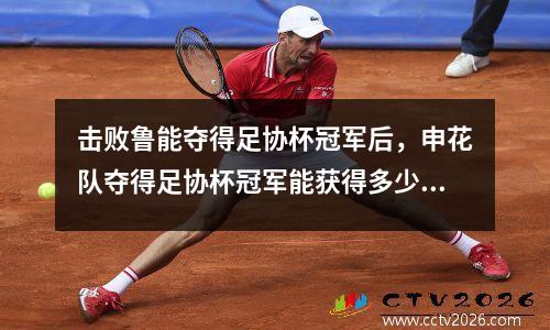 击败鲁能夺得足协杯冠军后，申花队夺得足协杯冠军能获得多少奖金？数字是惊人的