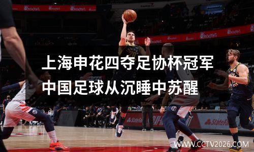 上海申花四夺足协杯冠军中国足球从沉睡中苏醒