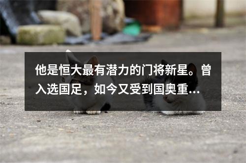 他是恒大最有潜力的门将新星。曾入选国足，如今又受到国奥重用。