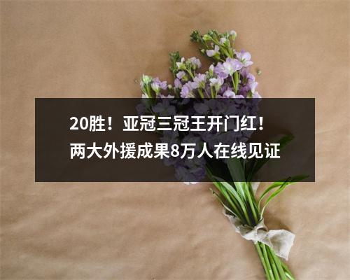 20胜！亚冠三冠王开门红！两大外援成果8万人在线见证