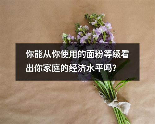 你能从你使用的面粉等级看出你家庭的经济水平吗？