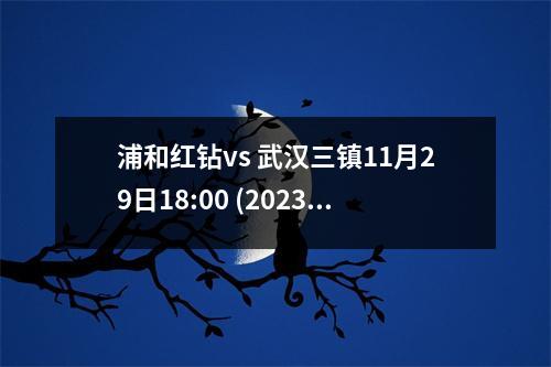 浦和红钻vs 武汉三镇11月29日18:00 (2023/24亚冠联赛)