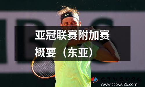 亚冠联赛附加赛概要（东亚）
