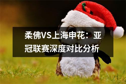柔佛VS上海申花：亚冠联赛深度对比分析