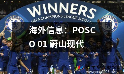 海外信息：POSCO 01 蔚山现代