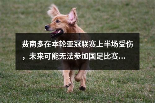 费南多在本轮亚冠联赛上半场受伤，未来可能无法参加国足比赛，这让球迷感到遗憾。
