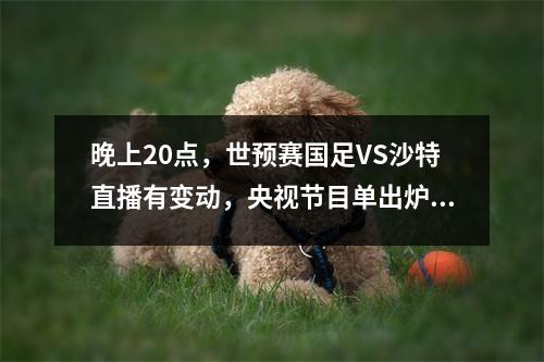 晚上20点，世预赛国足VS沙特直播有变动，央视节目单出炉！