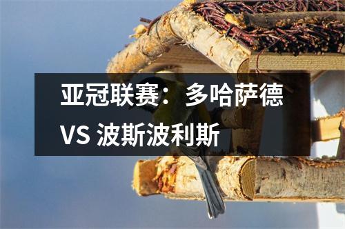亚冠联赛：多哈萨德VS 波斯波利斯