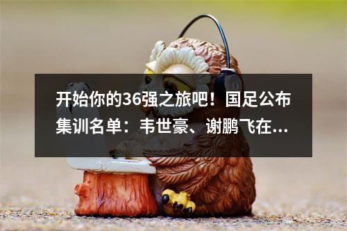 开始你的36强之旅吧！国足公布集训名单：韦世豪、谢鹏飞在列，张玉宁将无法回归埃克森