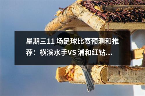 星期三11 场足球比赛预测和推荐：横滨水手VS 浦和红钻、纽卡斯尔VS 切尔西