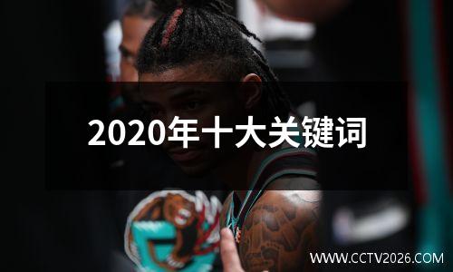 2020年十大关键词