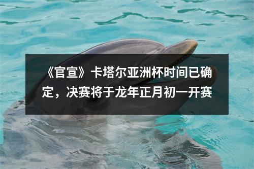 《官宣》卡塔尔亚洲杯时间已确定，决赛将于龙年正月初一开赛