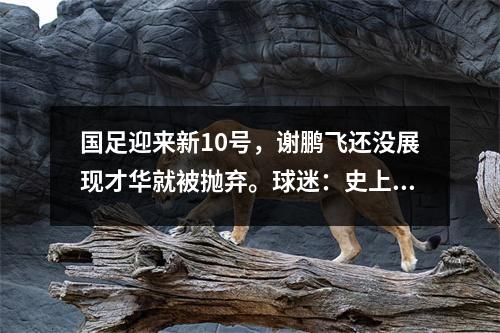 国足迎来新10号，谢鹏飞还没展现才华就被抛弃。球迷：史上最弱10号