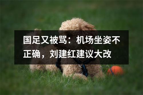 国足又被骂：机场坐姿不正确，刘建红建议大改