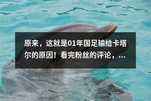 原来，这就是01年国足输给卡塔尔的原因！看完粉丝的评论，心里既真实又无奈。