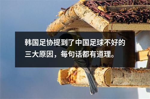 韩国足协提到了中国足球不好的三大原因，每句话都有道理。