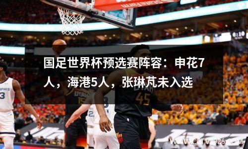 国足世界杯预选赛阵容：申花7人，海港5人，张琳芃未入选