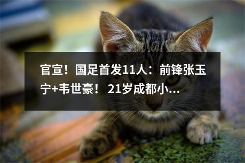 官宣！国足首发11人：前锋张玉宁+韦世豪！ 21岁成都小伙危急临危受命接班