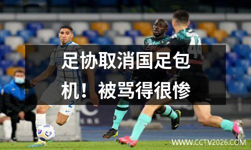 足协取消国足包机！被骂得很惨