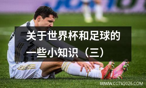 关于世界杯和足球的一些小知识（三）