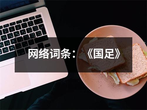 网络词条：《国足》