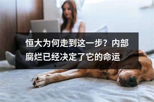恒大为何走到这一步？内部腐烂已经决定了它的命运