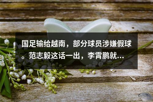 国足输给越南，部分球员涉嫌假球。范志毅这话一出，李霄鹏就看不下去了。