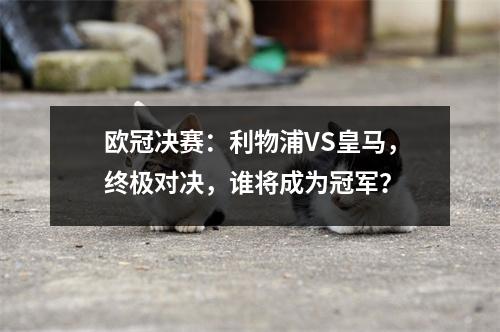 欧冠决赛：利物浦VS皇马，终极对决，谁将成为冠军？