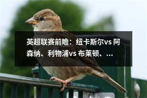 英超联赛前瞻：纽卡斯尔vs 阿森纳、利物浦vs 布莱顿、伯恩茅斯vs 曼城