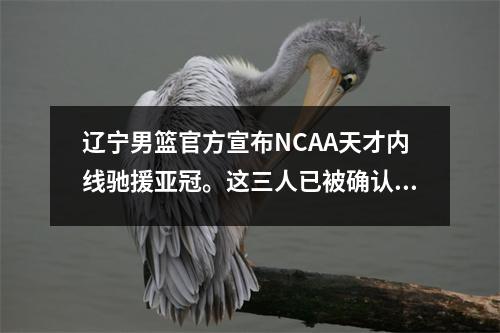 辽宁男篮官方宣布NCAA天才内线驰援亚冠。这三人已被确认错失良机。