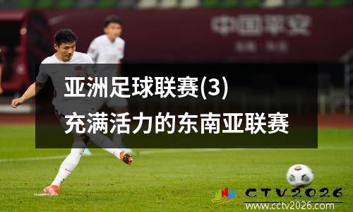 亚洲足球联赛(3) 充满活力的东南亚联赛