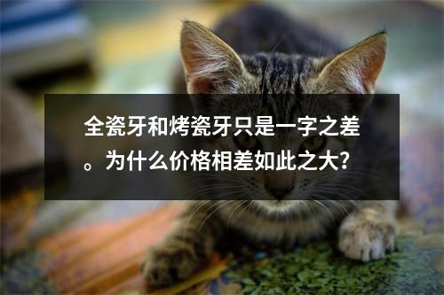 全瓷牙和烤瓷牙只是一字之差。为什么价格相差如此之大？