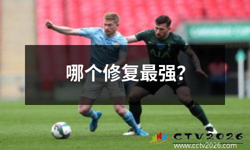 哪个修复最强？