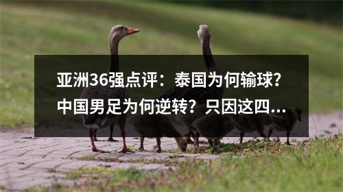 亚洲36强点评：泰国为何输球？中国男足为何逆转？只因这四个字