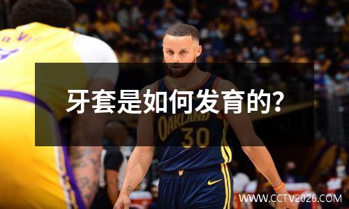 牙套是如何发育的？