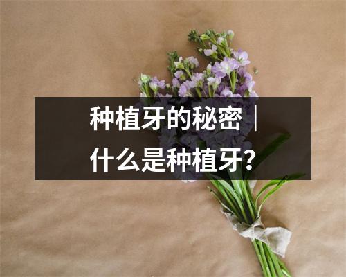 种植牙的秘密｜什么是种植牙？