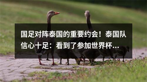 国足对阵泰国的重要约会！泰国队信心十足：看到了参加世界杯的希望