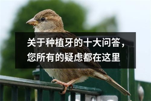 关于种植牙的十大问答，您所有的疑虑都在这里