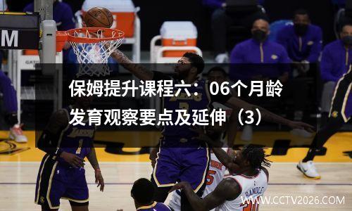 保姆提升课程六：06个月龄发育观察要点及延伸（3）
