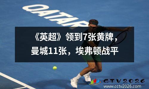 《英超》领到7张黄牌，曼城11张，埃弗顿战平