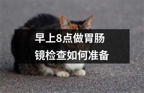 早上8点做胃肠镜检查如何准备