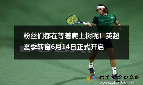 粉丝们都在等着爬上树呢！英超夏季转窗6月14日正式开启