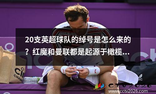 20支英超球队的绰号是怎么来的？红魔和曼联都是起源于橄榄球队吗？