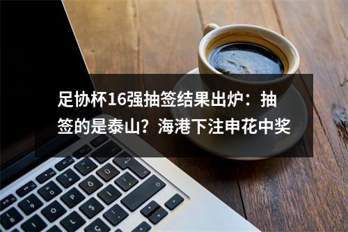 足协杯16强抽签结果出炉：抽签的是泰山？海港下注申花中奖