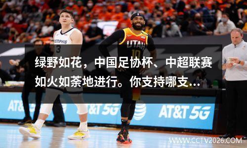 绿野如花，中国足协杯、中超联赛如火如荼地进行。你支持哪支球队？