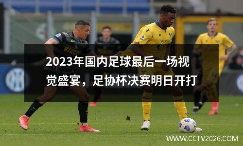 2023年国内足球最后一场视觉盛宴，足协杯决赛明日开打