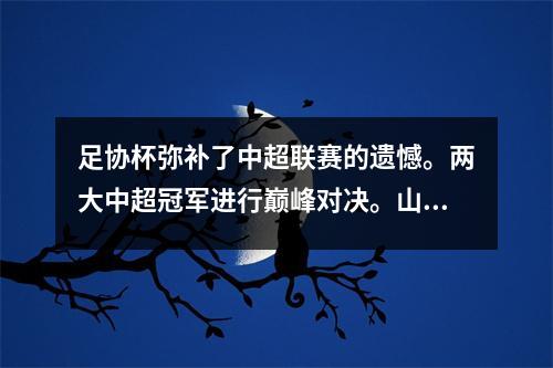 足协杯弥补了中超联赛的遗憾。两大中超冠军进行巅峰对决。山东泰山未必有什么收获。