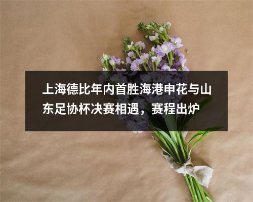 上海德比年内首胜海港申花与山东足协杯决赛相遇，赛程出炉
