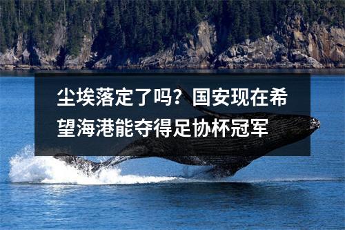 尘埃落定了吗？国安现在希望海港能夺得足协杯冠军